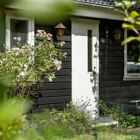 Presence And Coziness Close To The